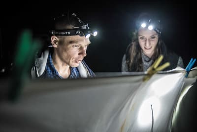 Nikolai Tatarnic (WA Museum) and Paige Maroni (PhD student) blitzing for bugs on Hamelin
