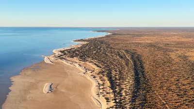 Aerial view of the shoreline at Hamelin Reserve. Blue waters, beach and natural vegetation.