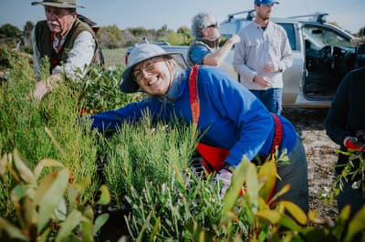 Volunteers with seedlings to replant on Monjebup Reserve, south-west WA.