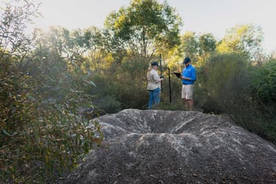 Two Bush Heritage staff inspect a large Malleefowl mound.