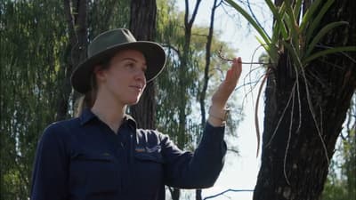 Reserve Manager Becky Miller inspecting new growth on a tree.