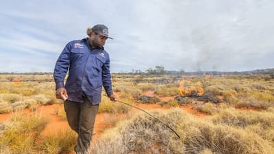 A ranger spreading fire through tussock grass with a firestick.
