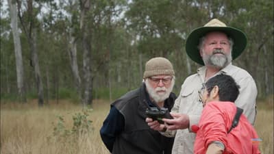 A group monitoring Koalas using acoustic devices at Yourka Reserve in Queensland.