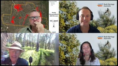 Paul Hales, Rhys Swain, Vikki Parsley and host Matthew Taylor on a webinar screen.