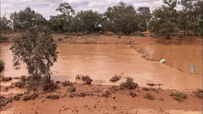 Mingary Creek flowing with brown floodwater.