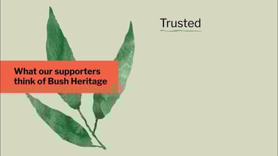 What supporters think