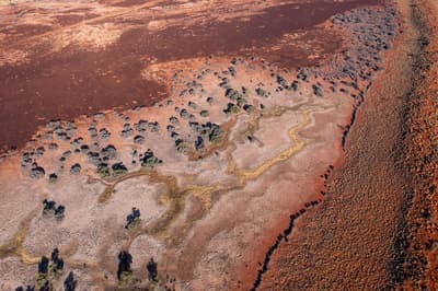 Satellite image of Pilungah Reserve showing plant cover in the swales (the area between sand dunes).