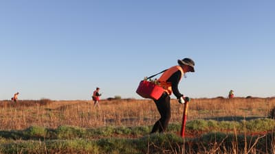Planting one million trees on Eurardy Reserve.