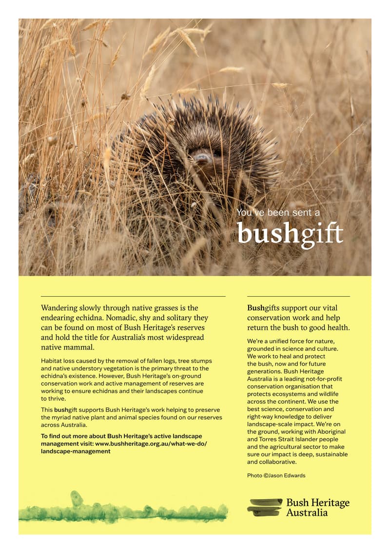 23 Echidna PDF cert