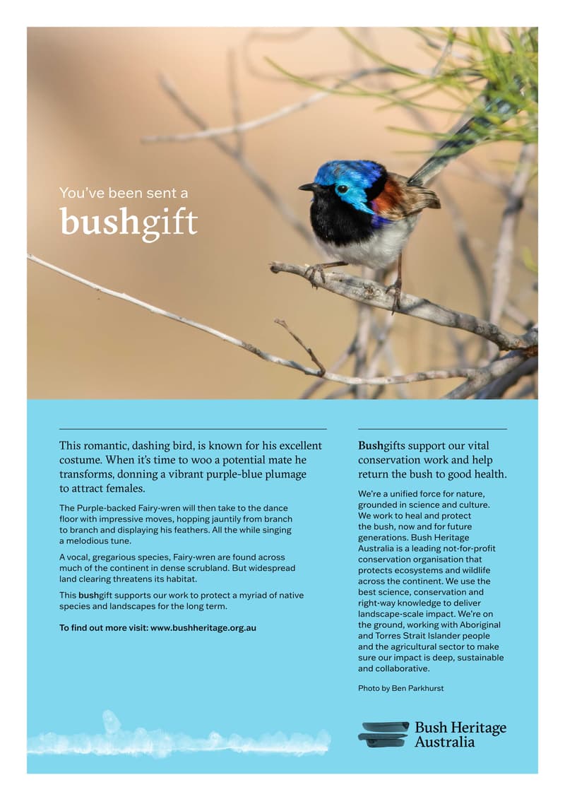 Bush Gift e Card Fairy Wren pdf