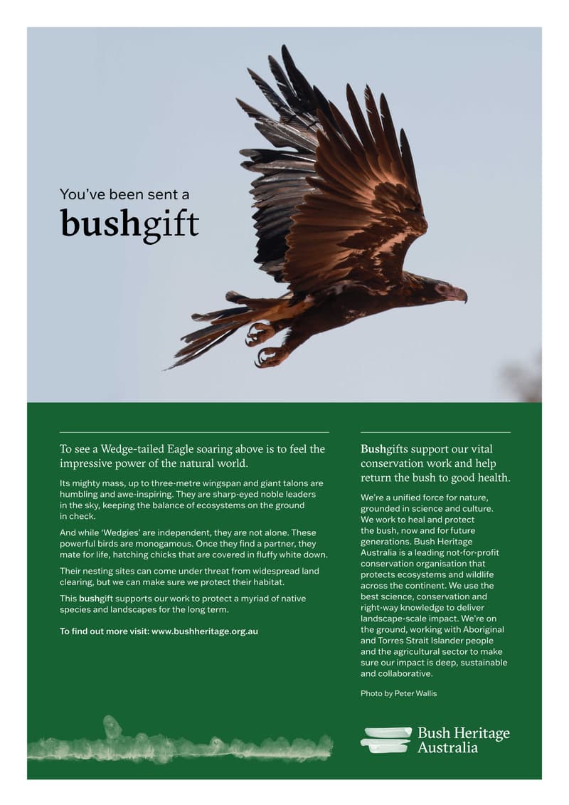 Bush Gift e Card Wedgetail pdf