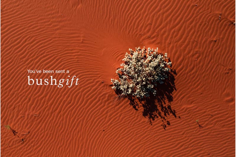 Red Dirt & Wildflowers Gift Card.