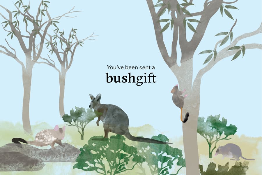 Gift card featuring woodland buddies.