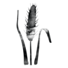 Buffel Grass icon.