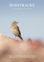 Cover of the Bush Tracks Autumn 2025 magazine. Featuring an Australian Pipit by Grassland Films.
