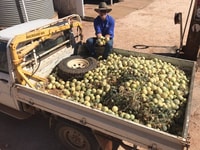 Richard and his bounty!