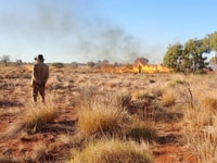 Ranger Ernest Bennet watching ground burning..