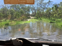 Driving past the end of Good Gully Swamp.
