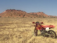 Motorcycles are the most effective weed surveying vehicle.