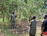 Arafura Swamp Rangers.