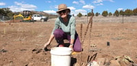 Supplementary planting.