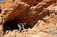 Dr Alex Kutt collecting specimens.