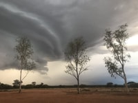 Ominous clouds as a thunderstorm brewed above us.