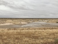 Claypans with water.