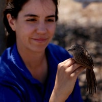 Aline Gibson Vega with a Western Grasswren.