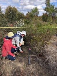 Assessing soil condition Monjebup North Reserve.