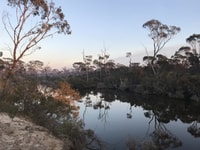 Early morning reflections Monjebup Creek Red Moort Reserve.