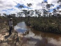 Jo on Monjebup Creek Red Moort Reserve.