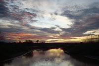 February rains lead to a creek full of tadpoles.