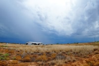 Raining at Edgy reserve.