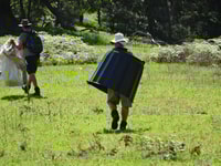 Extreme PPE employed on our Brogo NSW Reserve.