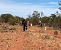 WA Reserves were one of the first to resume volunteer activities.