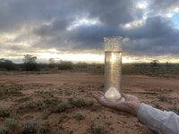 34mm of rain from Cyclone Seroja was recorded at Charles Darwin Reserve.