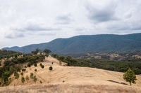 A view of the Round House landscape.