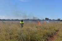 Ullula burning the spinifex.