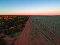 Eurardy Reserve on Nhanda country is the site of our 1 Million Trees project funded by Volkswagen donation.