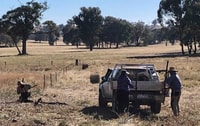 Loading wire into the ute.
