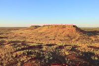 At Pullen Pullen Night Parrots nest in hummocks of spinifex grass.