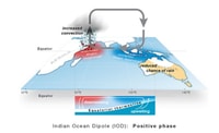 Diagram of Indian Ocean Dipole, a deep water upwelling of cold water develops off north west Australia and Indonesia.