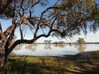 Cocklerina Swamp.