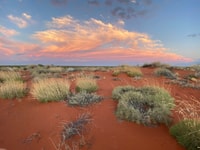 Sand dune scenery that inspired the painting.