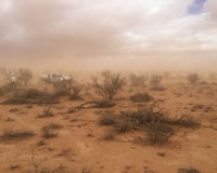 A dust storm on Boolcoomatta.