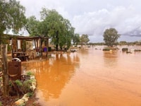 Water water everywhere around the Boolcoomatta homestead.