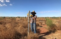 Driving in the post during 2020 revegetation.