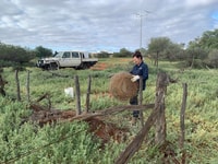 Gail hard at work fencing.