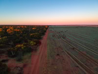 Aerial view of Eurardy Reserve showing the stark contrast between healthy woodland on the left and the bare, recently-ploughed revegetation site on the right.